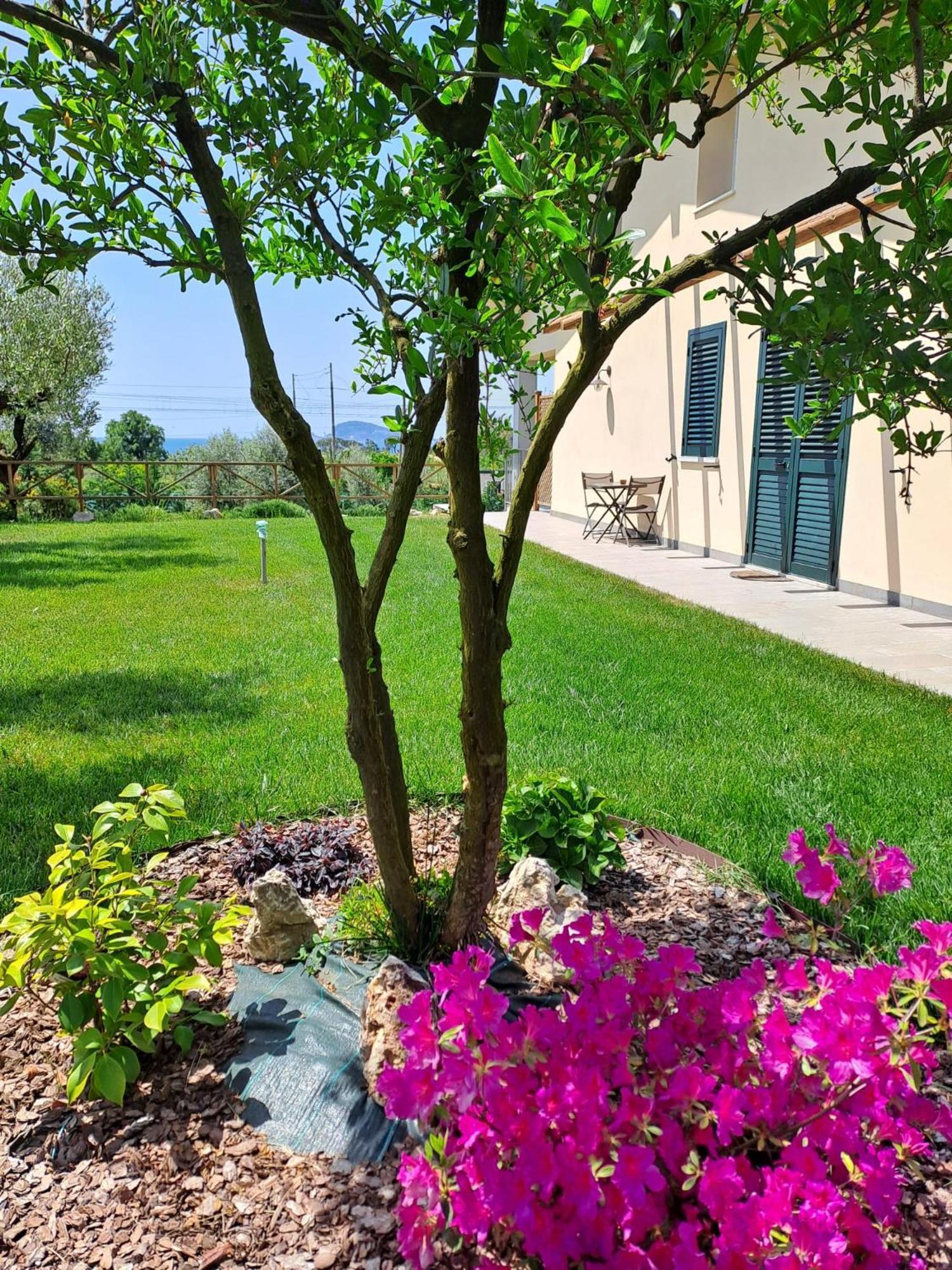 La Campagna Di Peppe E Tullia Bed & Breakfast ฟอร์เมีย ภายนอก รูปภาพ